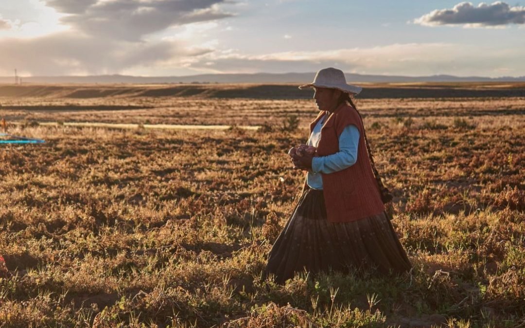 Las mujeres contra el cambio climático